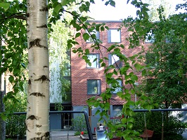 Kuva